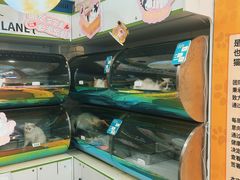 -凯德广场(学府店)