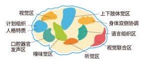 -多特儿童专注力·感统训练·注意力提升培训(锦峰训练中心)