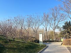 -河北省园博园