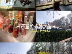 -王老吉凉茶博物馆