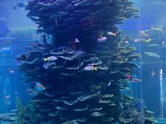 -泉城欧乐堡海洋极地世界