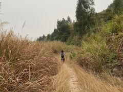 -黄埔油麻山森林公园