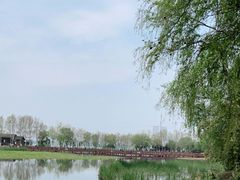 -金银湖国家城市湿地公园