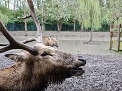 -溱湖国家湿地公园