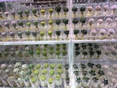 -KKV(深圳宏发大仟里店)