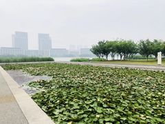 -尚贤河湿地