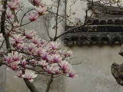 -耦园