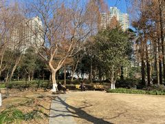 -苏州河梦清园环保主题公园