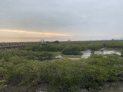 -北海金海湾红树林生态旅游区