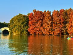 -上海海湾国家森林公园