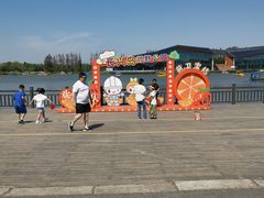 -上海长兴岛郊野公园