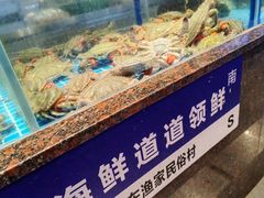 -鱼满舱·鲜活海鲜·正宗鲁菜