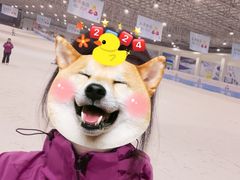 -绍兴启迪乔波冰雪世界