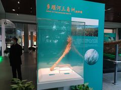 -中国湿地博物馆