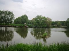 -白渔泡湿地公园