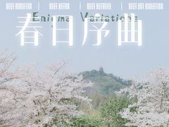 -上海辰山植物园