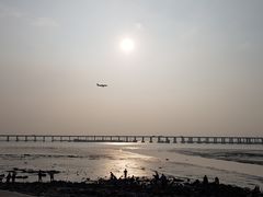 -宝安西湾红树林湿地公园