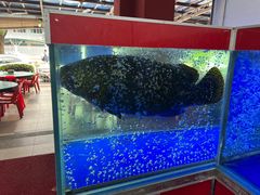 -大茄来海鲜餐厅(亚洲城分行)