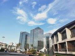 -北京云瑧金陵莲花酒店·莲·川小馆