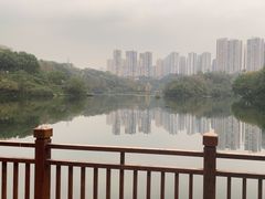 -重庆彩云湖湿地公园