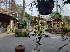 -青城甲(青城山店)