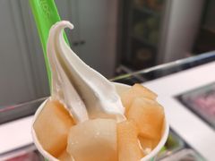 -Salud撒露欧洲冻酸奶(蓝色港湾店)