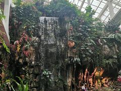 -正佳雨林生态植物园