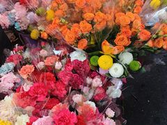 -越秀西湖花市(广州城市广场花卉店)