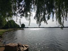 -丁香湖公园