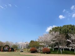 -径山花海