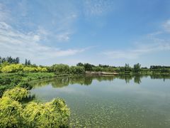 -东郊湿地公园