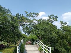 -鹅湖玫瑰文化园