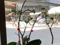 -Seesaw Coffee(苏州中心店)
