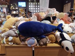 -九木杂物社(中心店)
