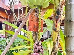 -西双版纳洲际度假酒店-曼霖轩中餐厅