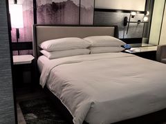 -新加坡乌节希尔顿酒店 (SG Clean)