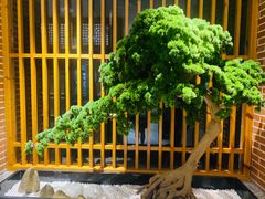 -囍榷·鲜美常州菜(恐龙园店)
