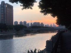 -光明港公园