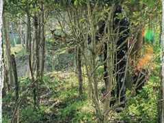 -不觉晓CAMPING(上海迪士尼营地店)