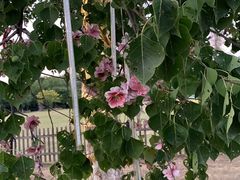 -合肥三国新城遗址公园