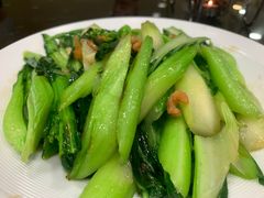 迟菜心-万年酒楼(越秀南路店)
