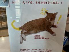 -Best U照相馆证件照·外拍(五角场店)