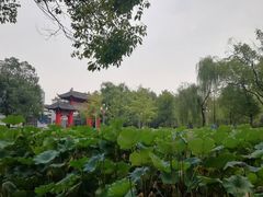 -四川大学(望江校区)