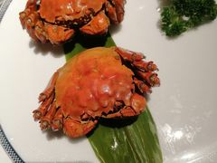 -红门金汤·港式火锅(英皇集团中心店)