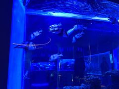 -上和臻品中国菜(花园街店)