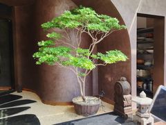 -隐庐·古法川菜(高新店)
