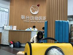 -联合动物医院(光谷诊疗中心)