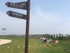 -洪湖湿地生态园