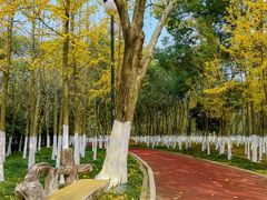 -艾溪湖湿地公园