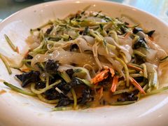 五彩大拉皮-添福来墨鱼饺子 · 海鲜东北菜(泡崖店)